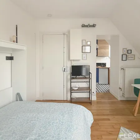 Apartment Near The Louvre In The Historic Center Of Paris